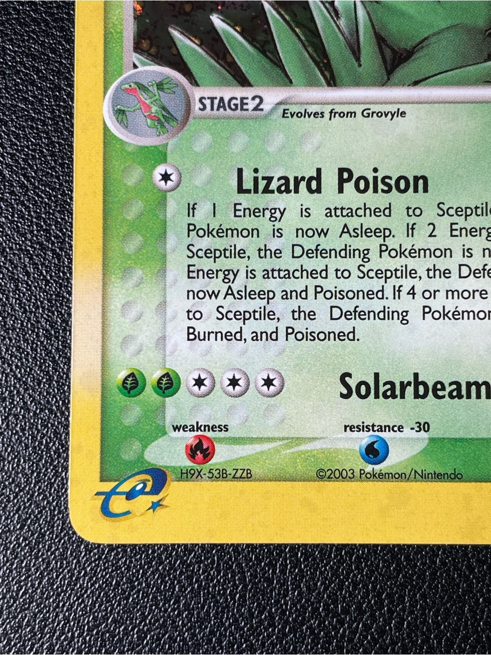 Sceptile #11/Holo/Pokemon Ruby & Sapphire - Picture 3 of 15